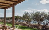 Туры в отель Zelia Halkidiki, part of Destination by Hyatt - Adults Only
