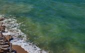 Туры в отель Zelia Halkidiki, part of Destination by Hyatt - Adults Only