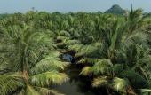 Туры в отель Nature Garden Ecolodge Ninh Binh