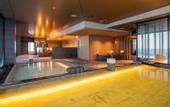 Туры в отель SAPPORO HOTEL by GRANBELL