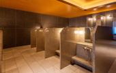 Туры в отель SAPPORO HOTEL by GRANBELL