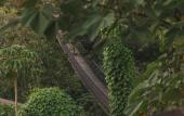 Туры в отель Nekajui Peninsula Papagayo, a Ritz-Carlton Reserve