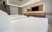 Туры в отель Dedeman Adana