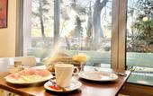 Туры в отель Hollywood Hotel Cannes