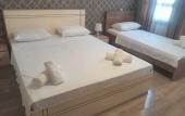 Туры в отель Tulpan Hotel