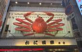 Туры в отель HOTEL AMANEK Osaka Namba