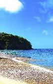 Туры в отель Cove Jivva Nattaya