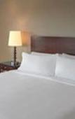 Туры в отель DoubleTree by Hilton Chicago Schaumburg