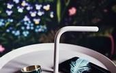 Туры в отель NOFO Hotel, WorldHotels Crafted