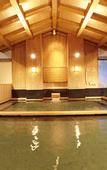 Туры в отель Spa World