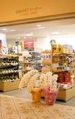 Туры в отель Spa World