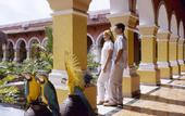Туры в отель Iberostar Paraiso Del Mar
