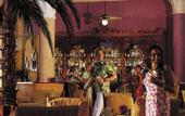 Туры в отель Iberostar Paraiso Del Mar