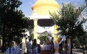 Туры в отель Iberostar Paraiso Del Mar
