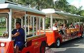 Туры в отель Iberostar Paraiso Del Mar