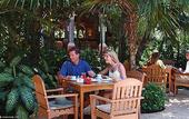 Туры в отель Iberostar Paraiso Del Mar
