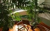 Туры в отель Bansabai Hostel