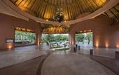 Туры в отель Iberostar Paraiso Lindo