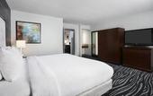 Туры в отель Embassy Suites by Hilton Orlando Airport