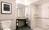 Туры в отель Embassy Suites by Hilton Orlando Airport