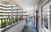 Туры в отель Embassy Suites by Hilton Orlando Airport