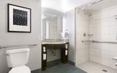 Туры в отель Embassy Suites by Hilton Orlando Airport