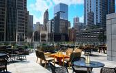 Туры в отель Loews Chicago Hotel