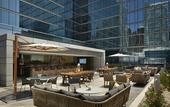 Туры в отель Loews Chicago Hotel