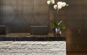 Туры в отель Loews Chicago Hotel