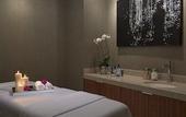 Туры в отель Loews Chicago Hotel