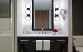 Туры в отель Loews Chicago Hotel