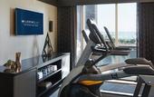 Туры в отель Loews Chicago Hotel