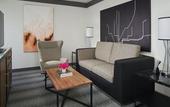 Туры в отель Loews Chicago Hotel