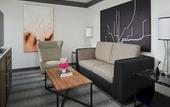 Туры в отель Loews Chicago Hotel