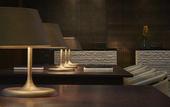 Туры в отель Loews Chicago Hotel