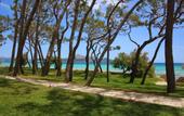 Туры в отель Iberostar Playa de Muro
