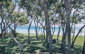 Туры в отель Iberostar Playa de Muro Village