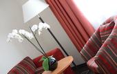 Туры в отель ADELANTE Boutique Hotel