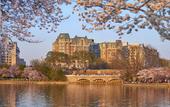 Туры в отель Salamander Washington DC