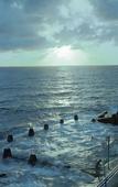 Туры в отель InterContinental Sydney Coogee Beach by IHG