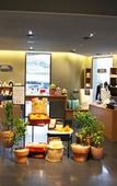 Туры в отель Maison Glad Jeju