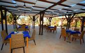 Туры в отель Vincci Safira Palms