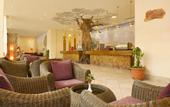Туры в отель Vincci Safira Palms
