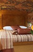 Туры в отель Hotel Quartier des Spectacles