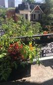 Туры в отель Hotel de Paris