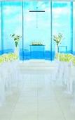 Туры в отель Hotel Marinoa Resort Fukuoka