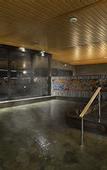 Туры в отель Kyoto Hot Spring Hatoya Zuihokaku Hotel