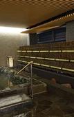 Туры в отель Kyoto Hot Spring Hatoya Zuihokaku Hotel