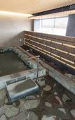 Туры в отель Kyoto Hot Spring Hatoya Zuihokaku Hotel
