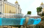 Туры в отель Galaxy Hotel